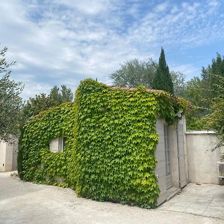 Le Mas du Chemin : mas typique des Alpilles Paradou Extérieur photo