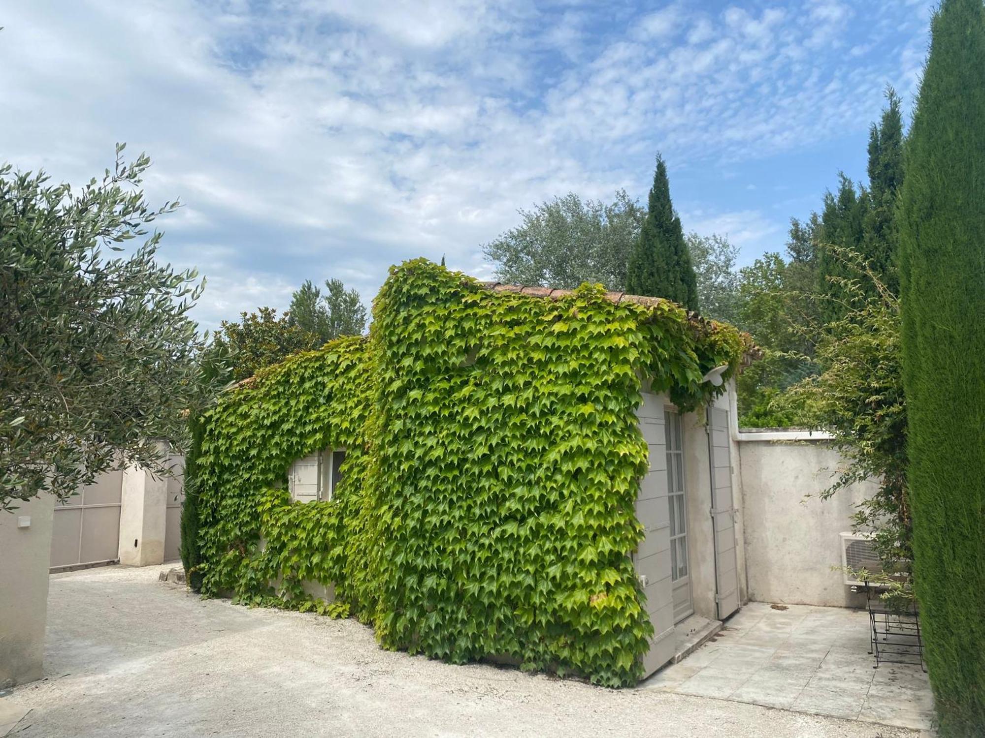 Le Mas du Chemin : mas typique des Alpilles Paradou Extérieur photo